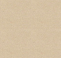 Ковролин Radici Abetone Avorio 4215 фото 1 | FLOORDEALER